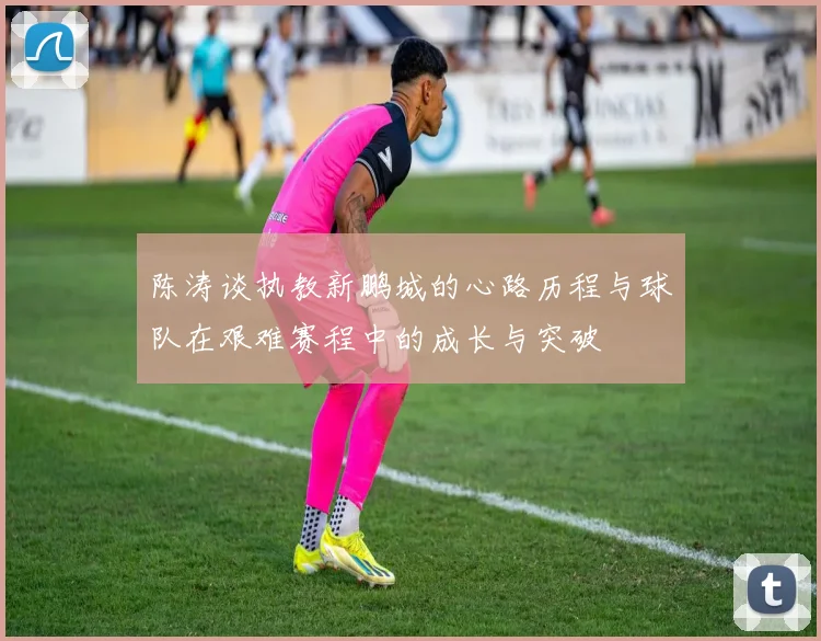 陈涛谈执教新鹏城的心路历程与球队在艰难赛程中的成长与突破