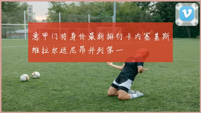 意甲门将身价最新排行卡内塞基斯维拉尔迈尼昂并列第一