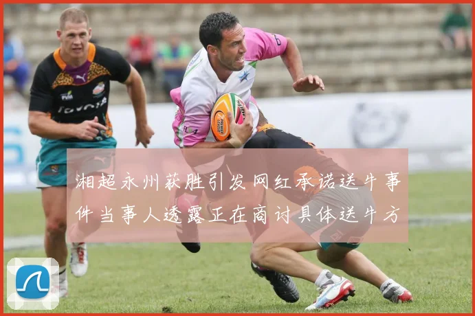 湘超永州获胜引发网红承诺送牛事件当事人透露正在商讨具体送牛方案